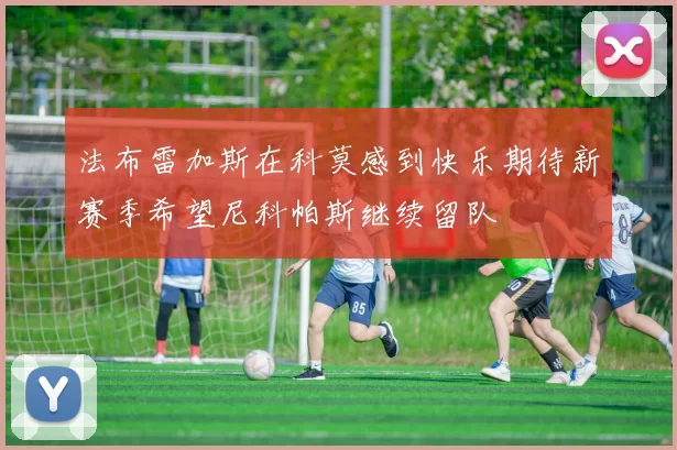 法布雷加斯在科莫感到快乐期待新赛季希望尼科帕斯继续留队